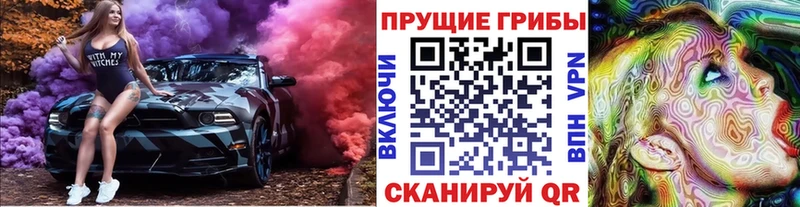 где можно купить наркотик  Междуреченск  Псилоцибиновые грибы Magic Shrooms 