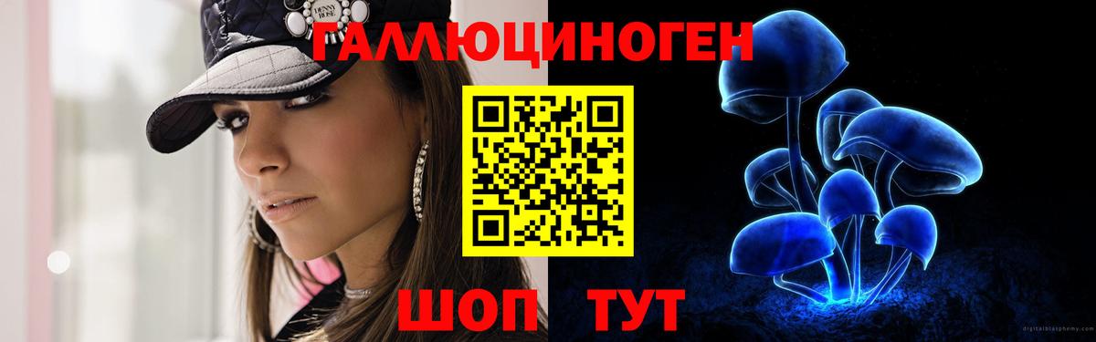 Междуреченск  Галлюциногенные грибы GOLDEN TEACHER  Вход с VPN  Галлюциногенные грибы Psilocybe 